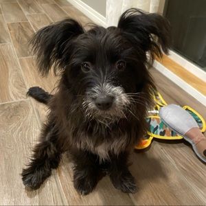 Meet your Posher, Audrey